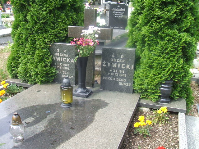 Grób Józef ŻYWICKI