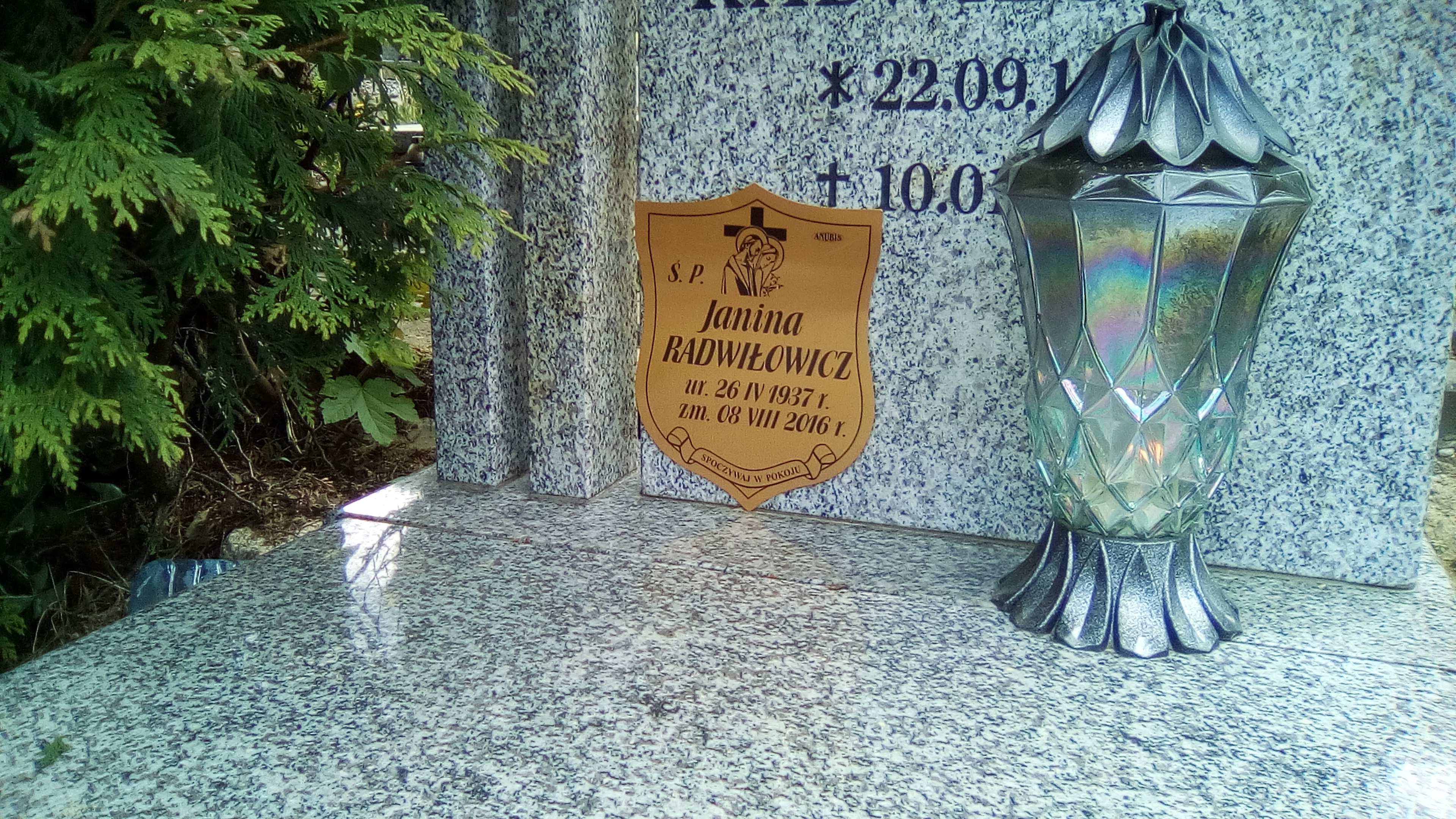 Adam Radwiłowicz 1933 Szklarska Poręba - Grobonet - Wyszukiwarka osób pochowanych