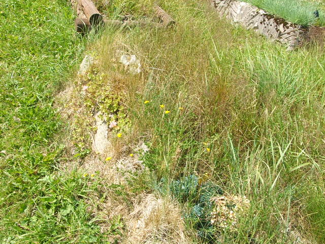 Grób Czesław KASPRZYK