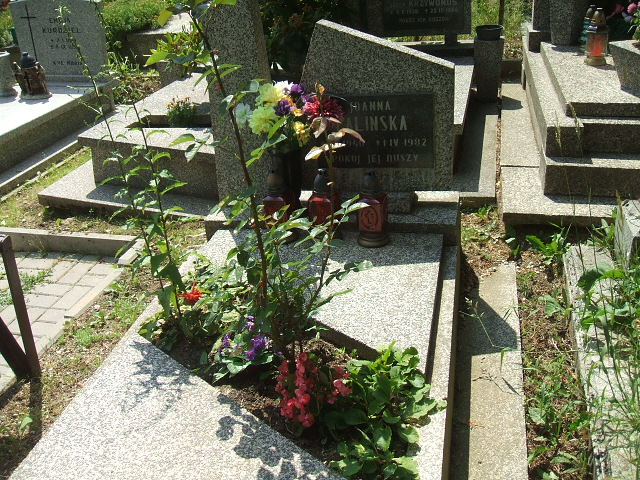 Grób Joanna PALIŃSKA