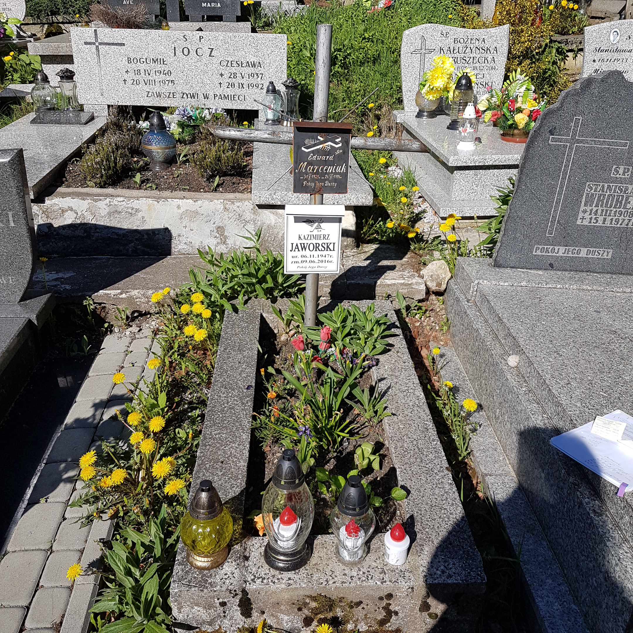 Grób Małgorzata Chełmecka