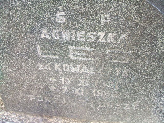 Agnieszka LES 1921 Szklarska Poręba - Grobonet - Wyszukiwarka osób pochowanych